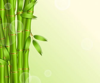 光沢のある春竹のベクトルの背景