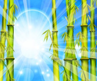 Bambú Brillante Primavera Vector Background