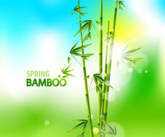 Glänzenden Frühling Bambus Vektor Hintergrund