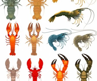 Shrimp Icons Collection Colorful Shapes Sketch