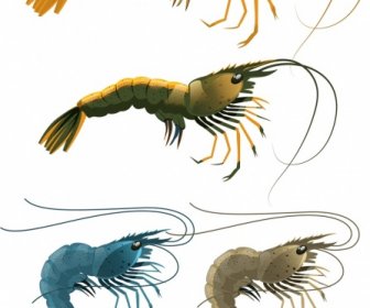 Modèles D’icônes De Crevettes Croquis Coloré Brillant