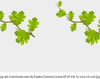 Small Branch Leaves Vector