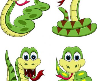 Snake13 Year Elements Vector