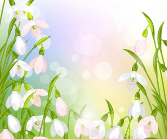 Snowdrops Flowers With Shiny Background Vector