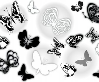 Tipi Di Farfalle Clip Arte Vettoriale