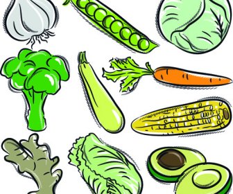手描きの野菜の種類ベクター セット