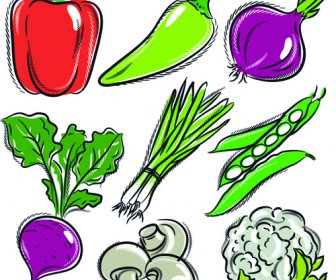 手描きの野菜の種類ベクター セット
