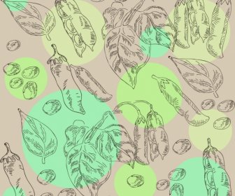 Soybean Background Nut Leaf Icons Handdrawn Sketch
