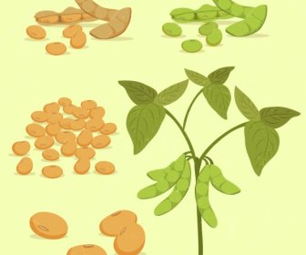 Soybean Design Elements Peas Trees Icons Colored Design