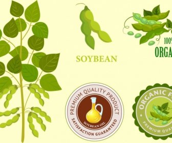 Soja-Produkte-Identität Setzt Baum Dichtung Logos Symbole