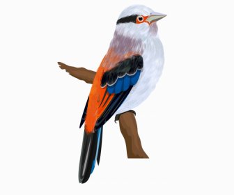 Sparrow Bird Icon Colorful Cute Design Perching Sketch
