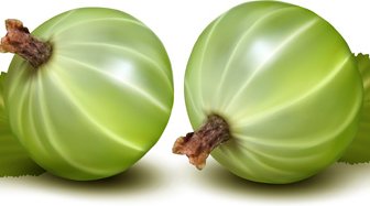 buah-buahan desain elemen vektor