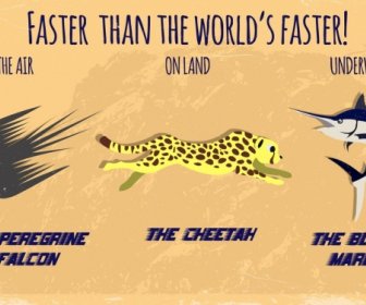 Prędkość Koncepcja Tło Falcon Cheetah Marlin Ikony Izolacji