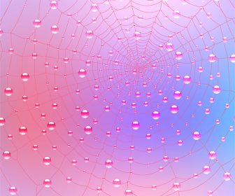 Spinnennetz Mit Tautropfen Hintergrund