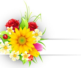Spring Flower Elements Greeting Cards Vector