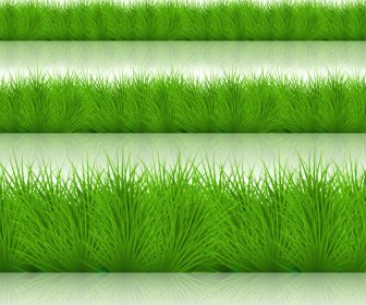 Spring Grass Borders Vector Set 4