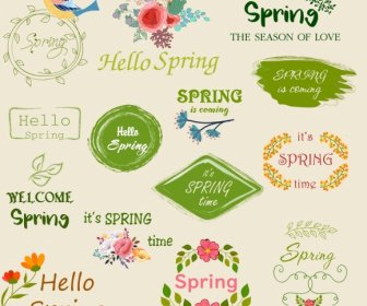 Logotipos Da Primavera Pássaro Flores Textos Decoração