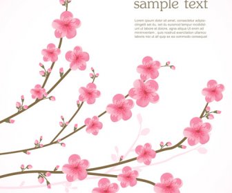 Spring Pink Cherry Vector Background