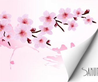 Vektorgrafiken Hintergrund Frühling Rosa Blume