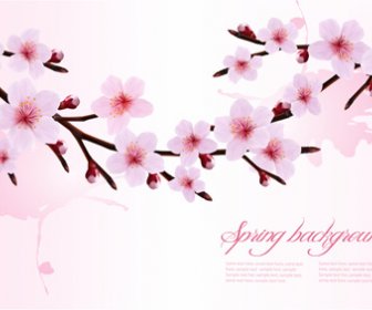 春のピンクの花ベクトルの背景グラフィック