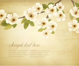 Spring White Flowers With Vintage Background
