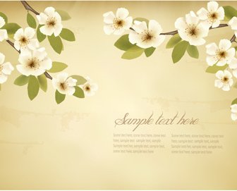 Spring White Flowers With Vintage Background