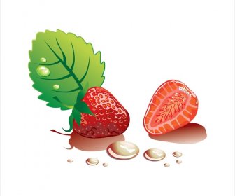Erdbeer-Vektor