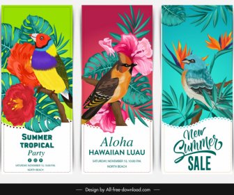 Summer Banner Templates Colorful Birds Floral Decor