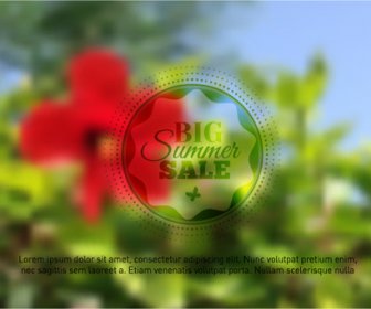 Summer Flower With Blurred Background Vector