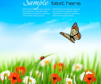 Summer Grass With Flower And Butterfly Background Vector