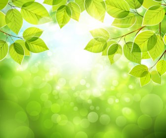 Folhas Verdes De Verão Com Fundo De Vector De Luz Solar