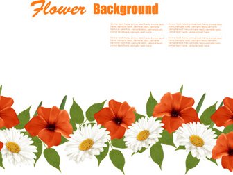 夏の白とオレンジの花の背景のベクトル