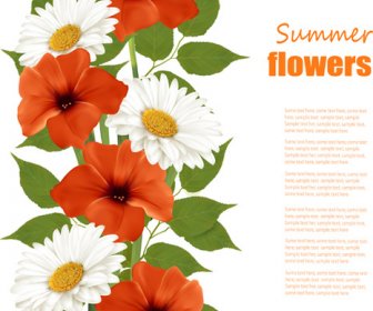 夏の白とオレンジの花の背景のベクトル