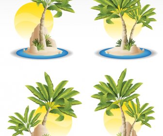 Солнце и тропические растения иконы вектор