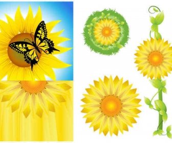 Sonnenblume Hintergrund-Vektor-Grafiken