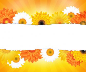 Sunflower Elements Background Vector