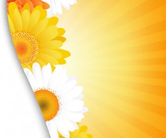 Sunflower Elements Background Vector