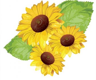 Sonnenblumen-Vektor -2