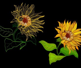sunflowers drawing contrast design handdrawn sketch