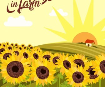 Sunflowers Farm Drawing Hill Sun Icons Multicolored Decoration
