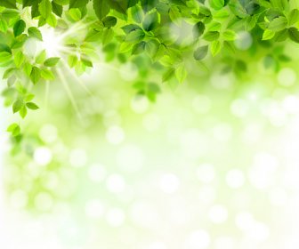 Sunlight With Green Leaves Shiny Background Vector