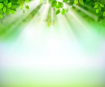 녹색 잎 빛나는 배경 벡터와 햇빛