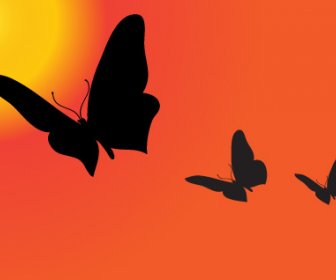 Sunset With Butterfly Silhouette Vector
