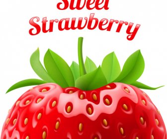 Sweet Strawberries Design Vector Set