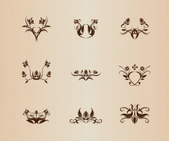 Collection D’éléments Floraux Symétrique De Vecteur