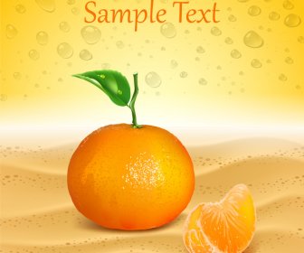 Template Vector With Fresh Orange Background