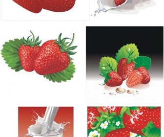 The Milk And Strawberry