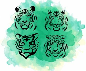 タイガー ヘッドのアイコン コレクション水彩不潔な手描きデザイン