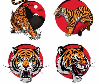 Tiger Icons Fierce Emotion Sketch Colorful Design