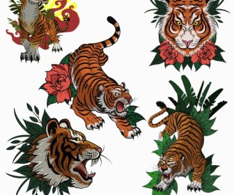 Tigers Icons Colored Classical Sketch